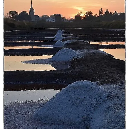 Les Roches Brunes - Face Apartment *