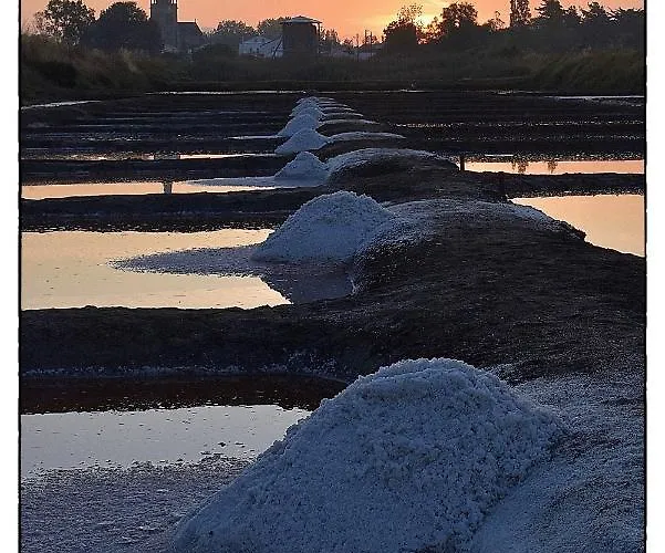 Les Roches Brunes - Face Apartamento *